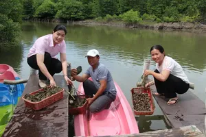 Policy credit capital proves effective in improving livelihoods in HCMC